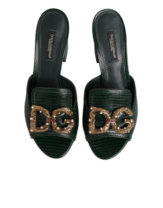 Grüne DG Amore Pantoletten Schuhe